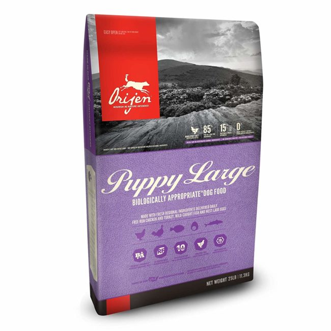 best puppy food for cane corso 2019