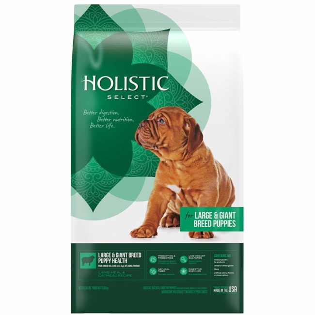 best dog food for cane corso puppy 2019